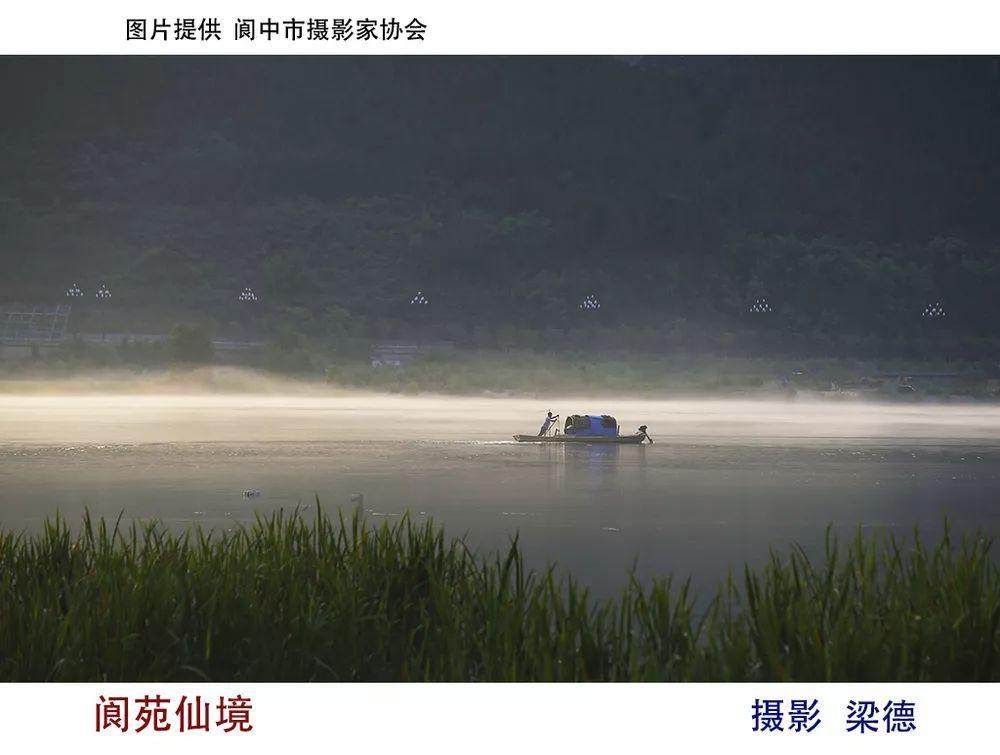 魔兽真三AR如何自己选人- 热门话题与社群讨论
